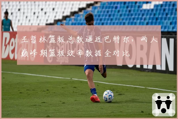 王哲林篮板总数逼近巴特尔，两人巅峰期篮板效率数据全对比