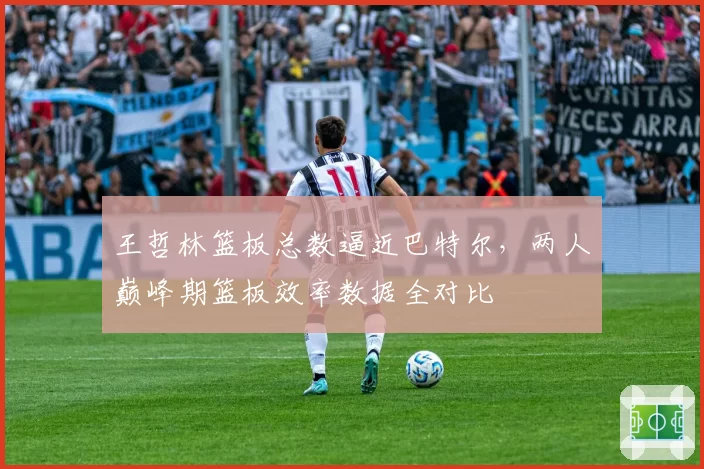 王哲林篮板总数逼近巴特尔，两人巅峰期篮板效率数据全对比