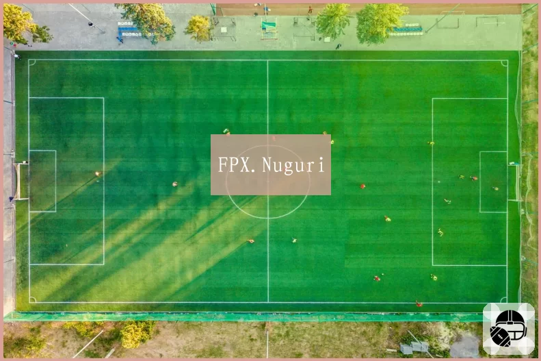 FPX.Nuguri